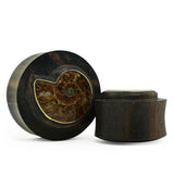 Areng Wood Plugs with Ammonite Inlay