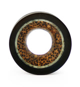 Areng Tunnel Plugs With Coconut Inlay