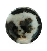 Zebra Jasper Stone Plugs