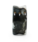 Zebra Jasper Stone Plugs