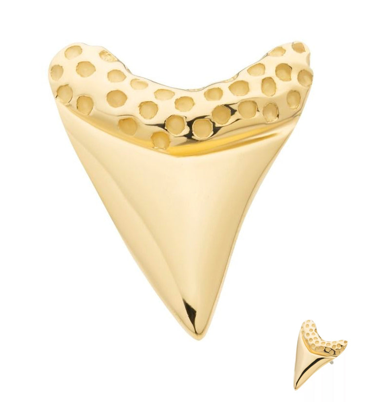 14kt Gold Shark Tooth Threadless Top