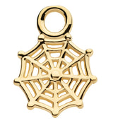 14kt Gold Spiderweb Charm