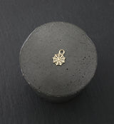 14kt Gold Spiderweb Charm