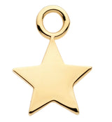 14kt Gold Star Charm