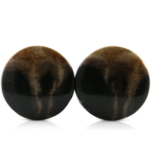 Petrified Wood Plugs 1 Inch (25mm)