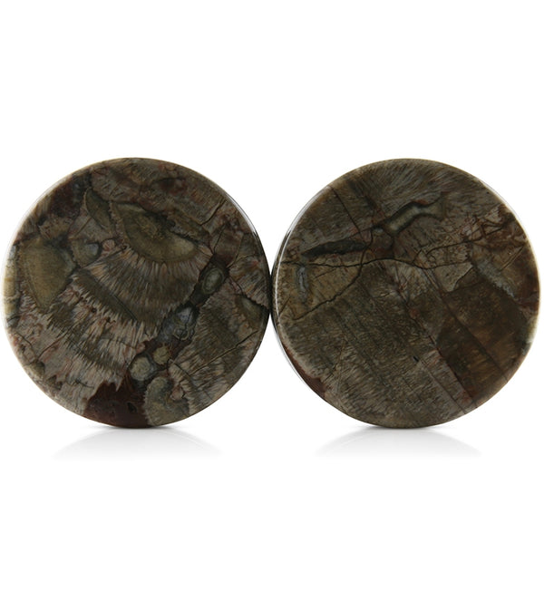 Mushroom Jasper Stone Plugs 1 Inch (25mm) Version 4