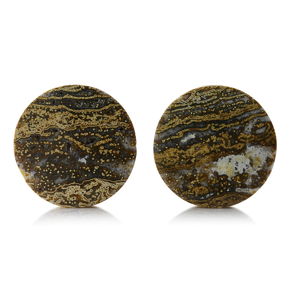 19mm (3/4”) Orbicular 2024 Jasper Stone Plugs 19J