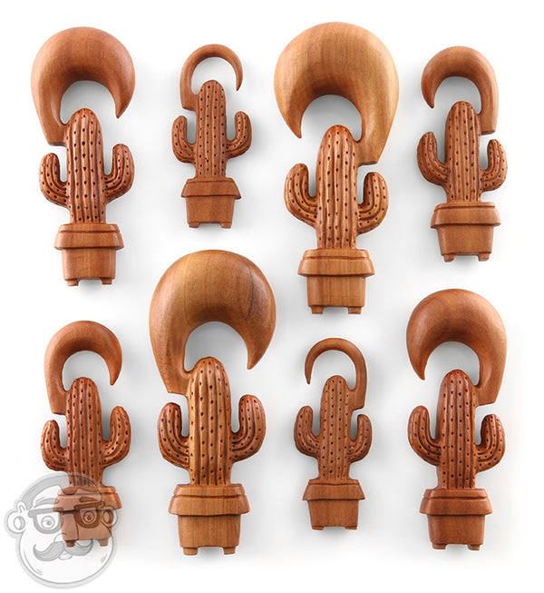 Cactus Planter Wooden Spiral Hangers