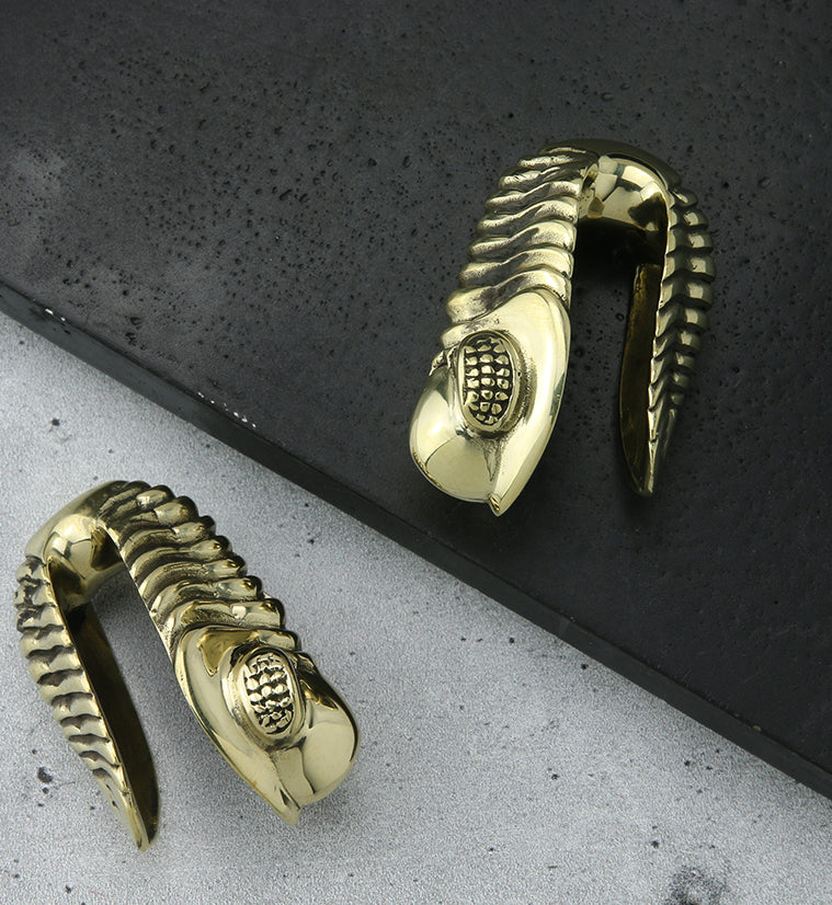 Chameleon Fossil Head Brass Hangers - Earrings