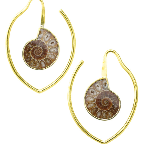 Drop Ammonite Fossil Teardrop Ear Weights | UrbanBodyJewelry.com