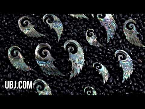 Abalone Shell Angel Wing Spirals