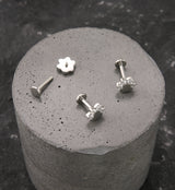 Paw Print Clear CZ Titanium Internally Threaded Labret