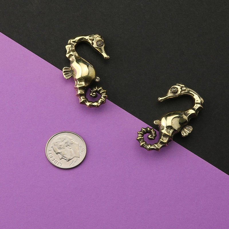 Seahorse Ear Weights