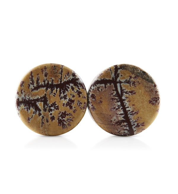 Sonoran Dendritic Rhyolite Stone Plugs