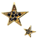 14kt Star Black Gem Threadless Top